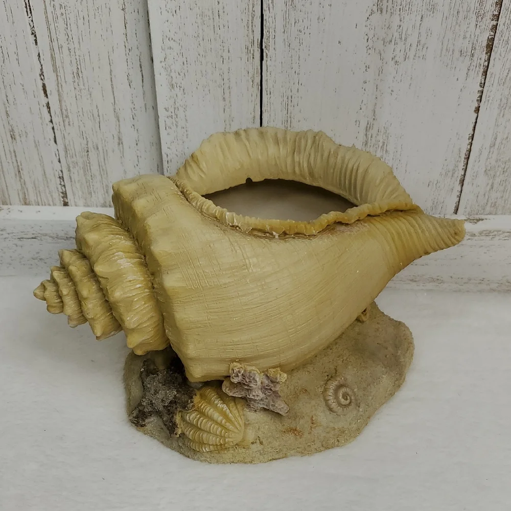 Conch Shell Seashell Planter Beach Ocean Coastal Decor